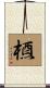 槱 Scroll