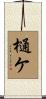 樋ケ Scroll