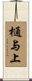 樋与上 Scroll