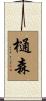 樋森 Scroll