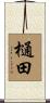 樋田 Scroll