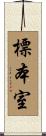 標本室 Scroll