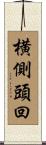 横側頭回 Scroll