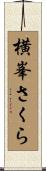 横峯さくら Scroll