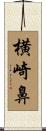 横崎鼻 Scroll
