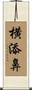 横添鼻 Scroll