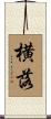 横落 Scroll