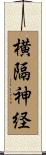 横隔神経 Scroll
