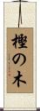 樫の木 Scroll