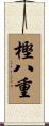 樫八重 Scroll