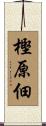 樫原佃 Scroll