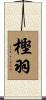 樫羽 Scroll