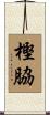 樫脇 Scroll