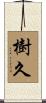 樹久 Scroll