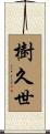 樹久世 Scroll