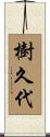 樹久代 Scroll