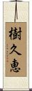 樹久恵 Scroll