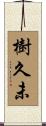 樹久未 Scroll
