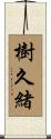 樹久緒 Scroll