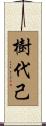樹代己 Scroll