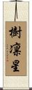樹凛星 Scroll