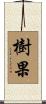 樹果 Scroll