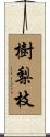 樹梨枝 Scroll