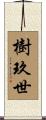 樹玖世 Scroll