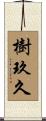 樹玖久 Scroll