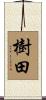 樹田 Scroll