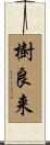 樹良来 Scroll