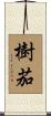 樹茄 Scroll