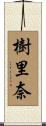 樹里奈 Scroll