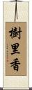 樹里香 Scroll