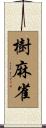 樹麻雀 Scroll
