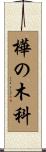 樺の木科 Scroll