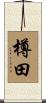 樽田 Scroll