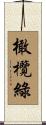 橄欖綠 Scroll