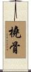 橈骨 Scroll