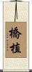 橋植 Scroll