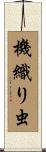 機織り虫 Scroll
