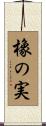 橡の実 Scroll