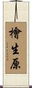 檜生原 Scroll