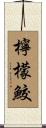 檸檬鮫 Scroll