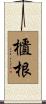 櫃根 Scroll