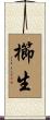 櫛生 Scroll