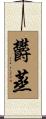 欝蒸 Scroll