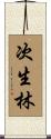 次生林 Scroll