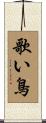 歌い鳥 Scroll