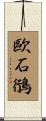 歐石鴴 Scroll